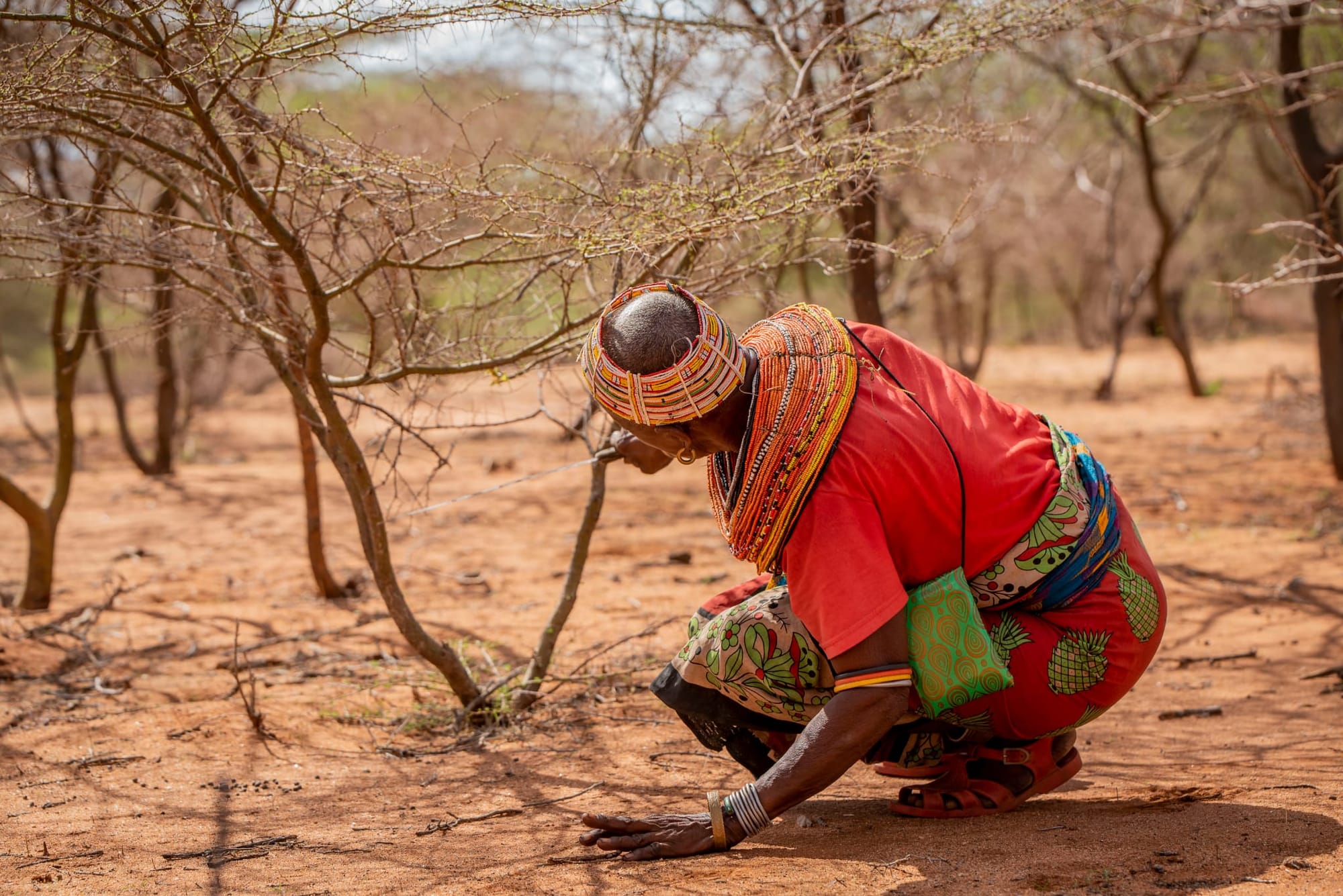 Regreening the Global Safety Net: Accelerating FMNR through Faith-driven Movement-building